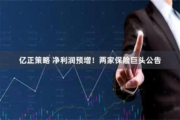 亿正策略 净利润预增！两家保险巨头公告