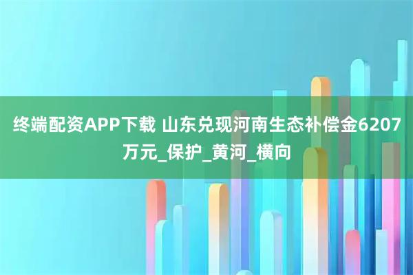终端配资APP下载 山东兑现河南生态补偿金6207万元_保护_黄河_横向