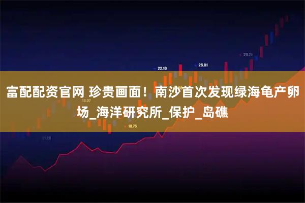 富配配资官网 珍贵画面！南沙首次发现绿海龟产卵场_海洋研究所_保护_岛礁