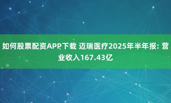 如何股票配资APP下载 迈瑞医疗2025年半年报: 营业收入167.43亿