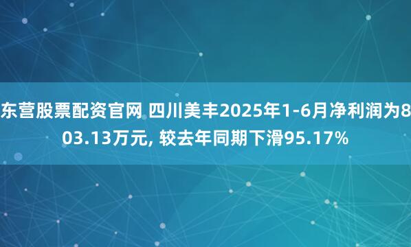 东营股票配资官网 四川美丰2025年1-6月净利润为803.13万元, 较去年同期下滑95.17%