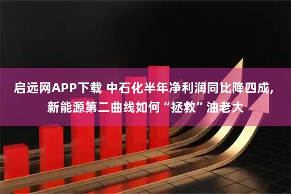 启远网APP下载 中石化半年净利润同比降四成, 新能源第二曲线如何“拯救”油老大