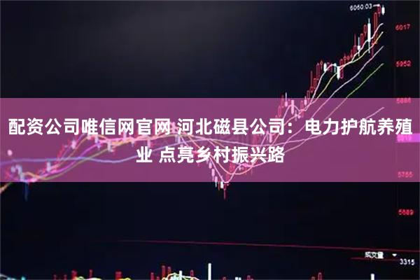 配资公司唯信网官网 河北磁县公司:电力护航养殖业 点亮乡村振兴路